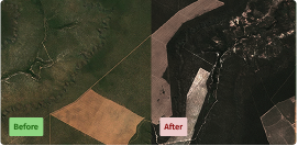 Understand changes to natural ecosystems